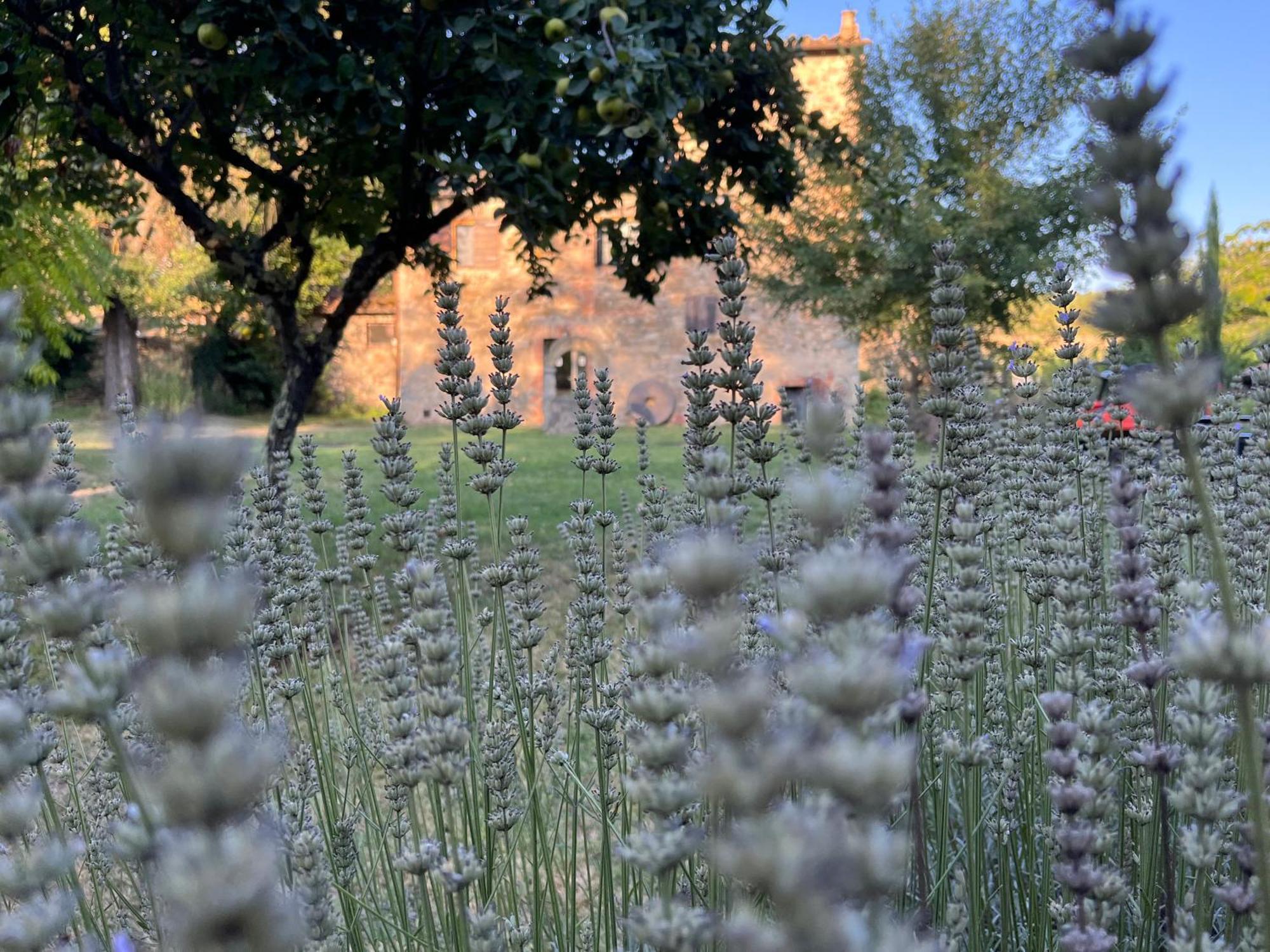 Apartamento Mulino In Chianti Gaiole in Chianti Exterior foto