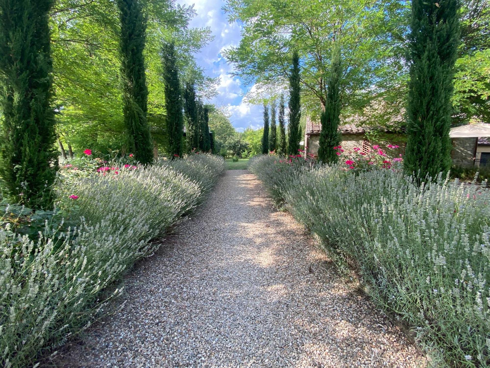 Apartamento Mulino In Chianti Gaiole in Chianti Exterior foto